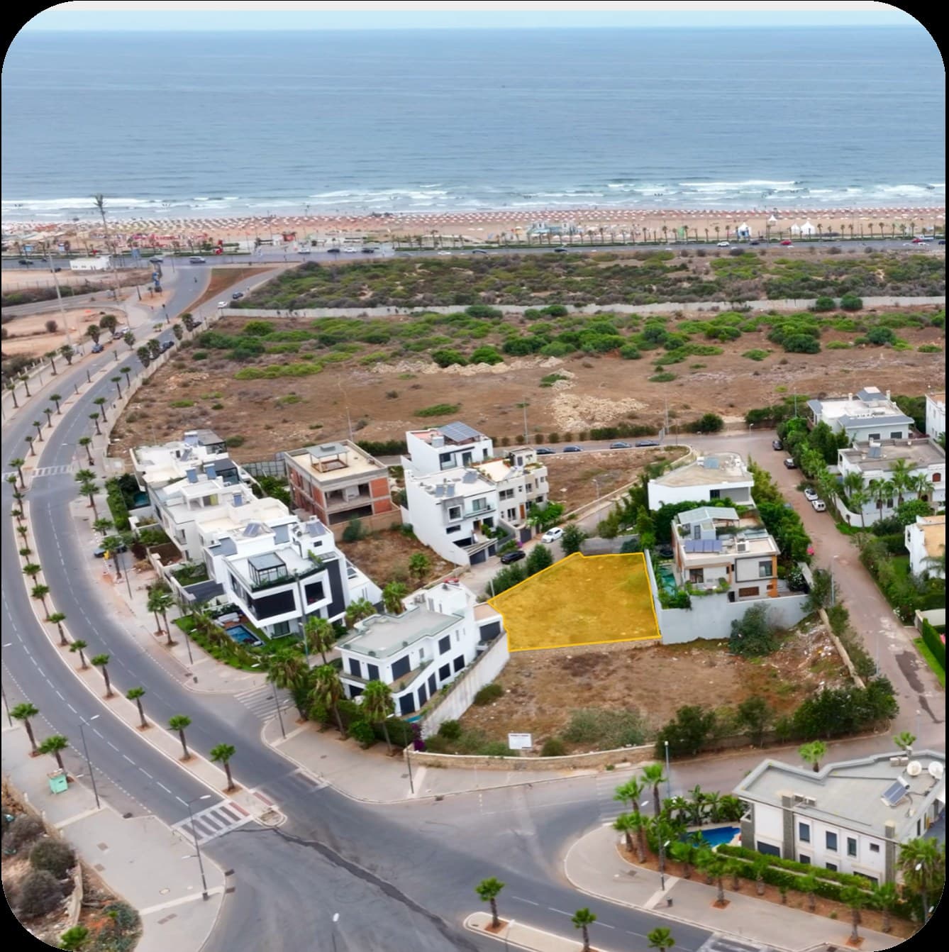 Allée du Golfe Arabique